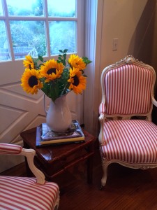 Sunflowers in White Pitcher Vase